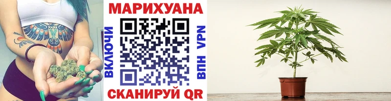 Канабис ГИДРОПОН  Купить закладки  Мончегорск 